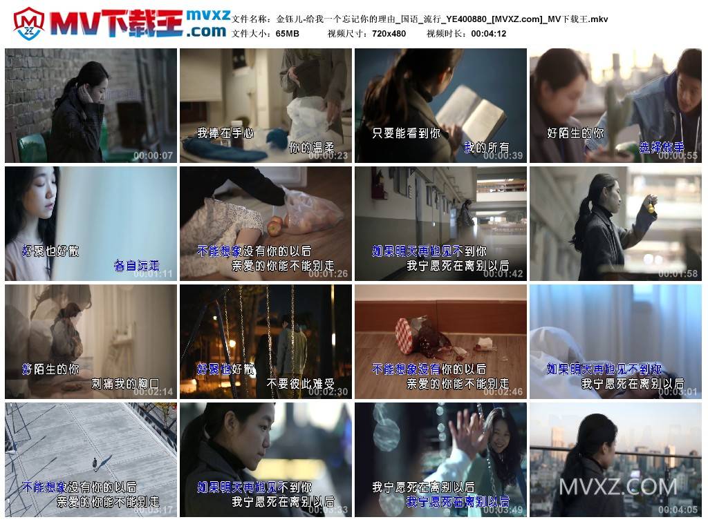 金钰儿-给我一个忘记你的理由_国语_流行_YE400880